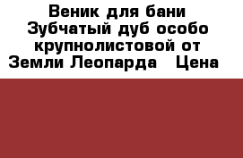 Веник для бани Зубчатый дуб особо крупнолистовой от Земли Леопарда › Цена ­ 100 - Все города Домашняя утварь и предметы быта » Другое   . Пермский край,Березники г.